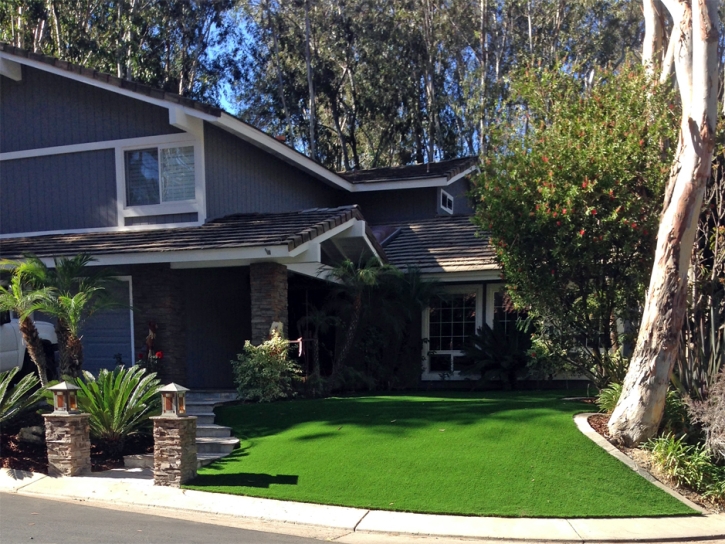 Artificial Turf Cost Hotevilla-Bacavi, Arizona Garden Ideas, Small Front Yard Landscaping
