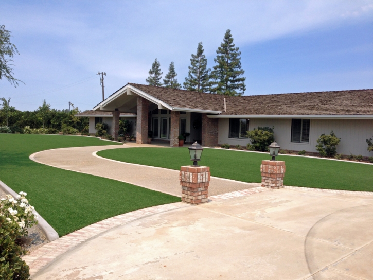 Artificial Turf Cost Picacho, Arizona Landscaping Business, Front Yard Ideas