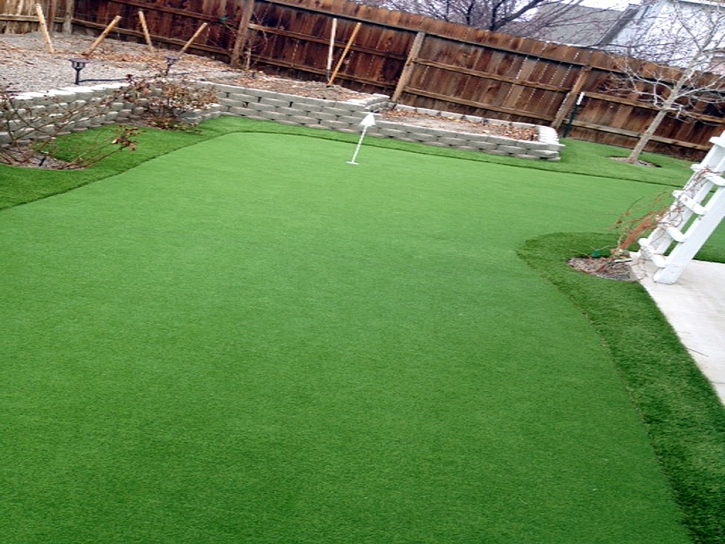 Artificial Turf Cost Youngtown, Arizona Outdoor Putting Green, Backyard Designs