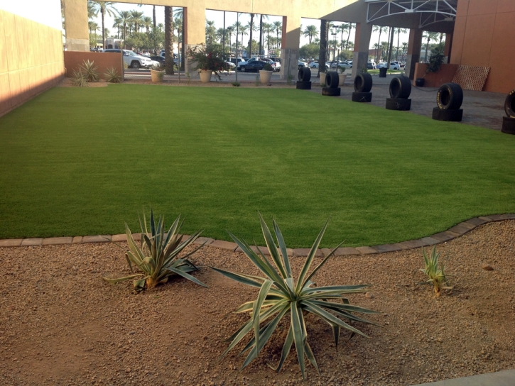 Artificial Turf Gila Bend, Arizona Home And Garden, Commercial Landscape