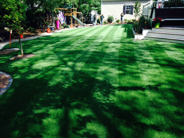 Artificial Turf Installation Aguila, Arizona Design Ideas, Backyard Makeover