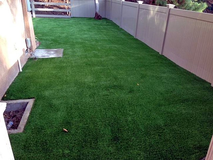 Artificial Turf Installation Franklin, Arizona Dog Park, Backyard Landscape Ideas