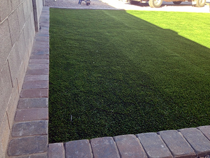 Artificial Turf Installation Houck, Arizona Dogs, Front Yard Design