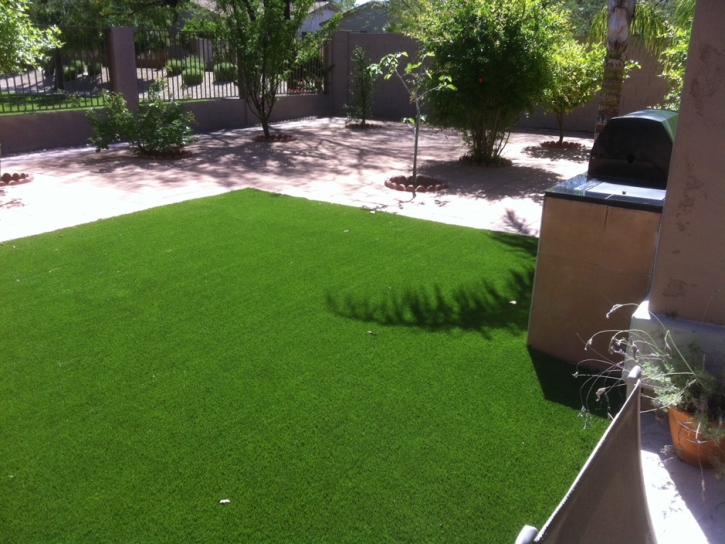 Artificial Turf Installation Mesa del Caballo, Arizona Design Ideas, Backyard Landscaping