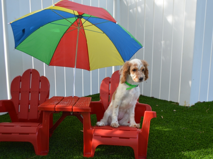 Artificial Turf Peridot, Arizona Dog Parks, Grass for Dogs