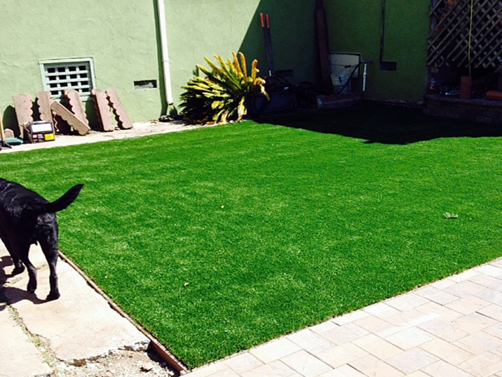 Artificial Turf Santa Cruz, Arizona Fake Grass For Dogs, Backyard Design