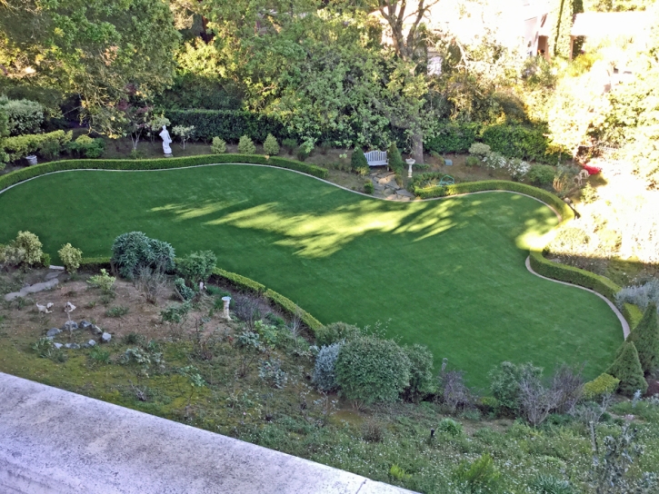 Artificial Turf Star Valley, Arizona Pictures Of Dogs, Backyard Landscaping Ideas