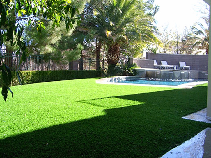 Artificial Turf Tonopah, Arizona Lawn And Landscape, Backyard Landscaping