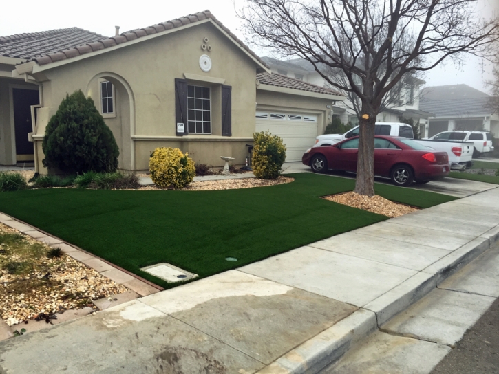 Artificial Turf Wintersburg, Arizona Lawn And Garden, Front Yard Landscaping Ideas