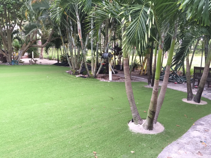 Best Artificial Grass Christopher Creek, Arizona Landscape Ideas, Commercial Landscape