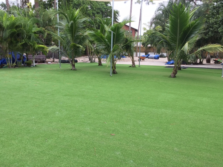 Best Artificial Grass Oracle, Arizona Lawn And Landscape, Commercial Landscape