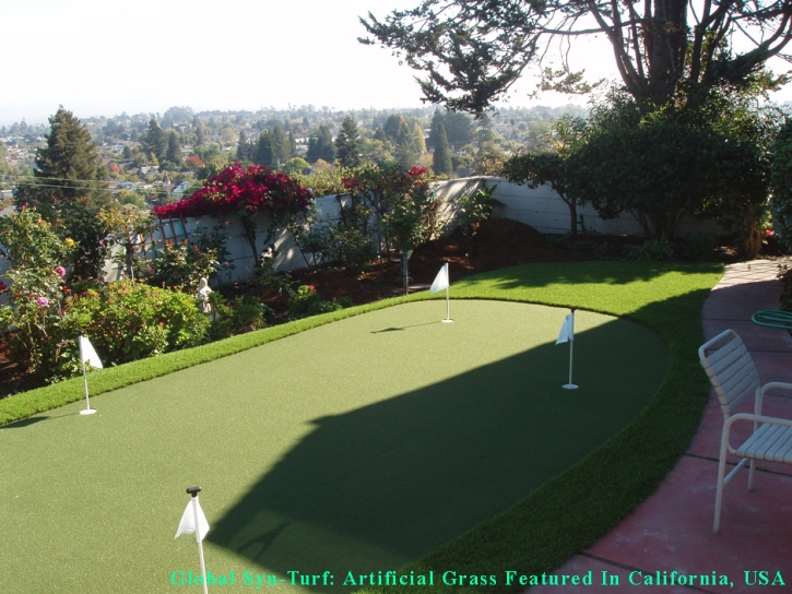 Best Artificial Grass Phoenix, Arizona Indoor Putting Greens, Backyards