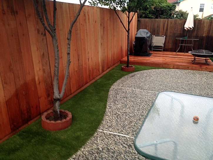 Fake Grass Carpet Cave Creek, Arizona Dog Running, Backyard Landscaping Ideas