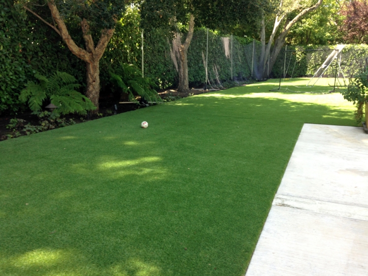 Fake Grass Carpet Mammoth, Arizona Artificial Turf For Dogs