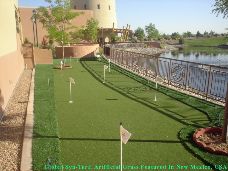 Fake Grass Carpet San Carlos, Arizona Landscaping, Small Backyard Ideas