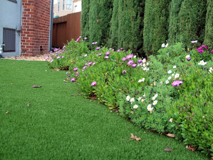 Fake Grass Carpet Tuba City, Arizona Design Ideas, Front Yard