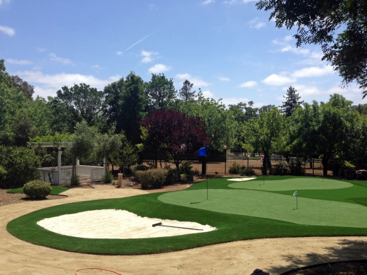 Fake Grass Cibola, Arizona Landscaping, Front Yard Landscaping