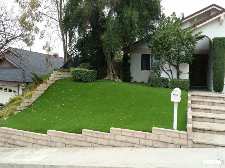 Fake Grass Citrus Park, Arizona Landscape Ideas, Front Yard