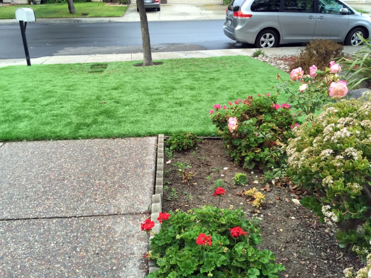 Fake Grass Duncan, Arizona Landscape Design, Front Yard Landscape Ideas