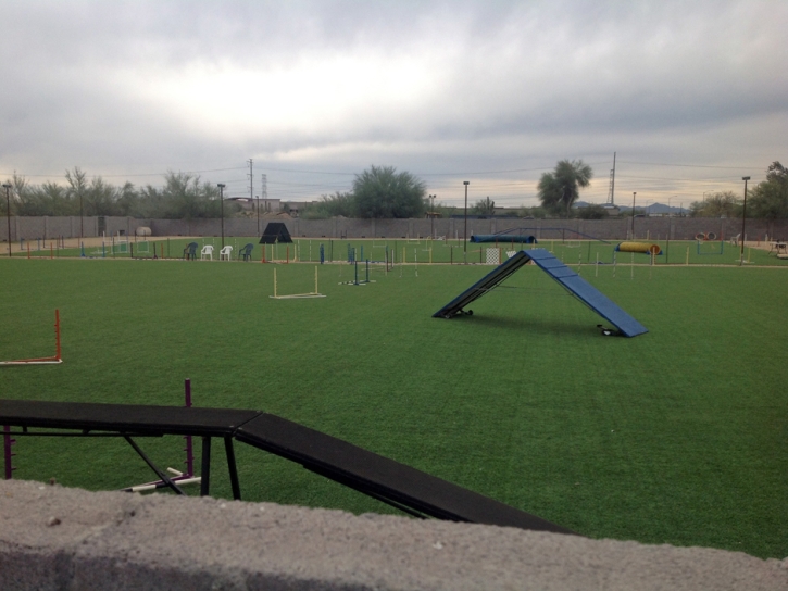 Fake Grass Pirtleville, Arizona Sports Athority, Recreational Areas