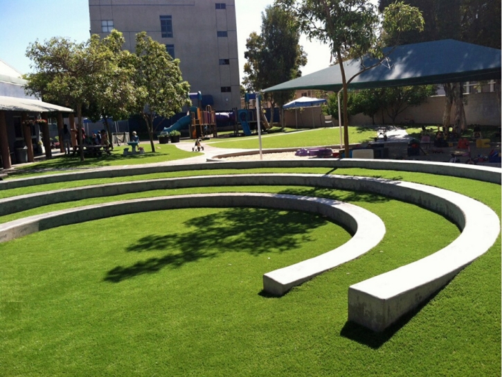 Fake Grass Vaiva Vo, Arizona Paver Patio, Commercial Landscape