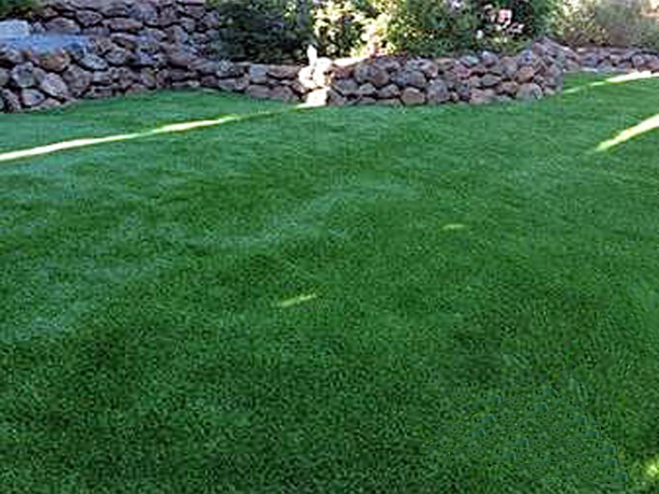 Fake Lawn Gadsden, Arizona Pet Paradise, Backyard Landscape Ideas
