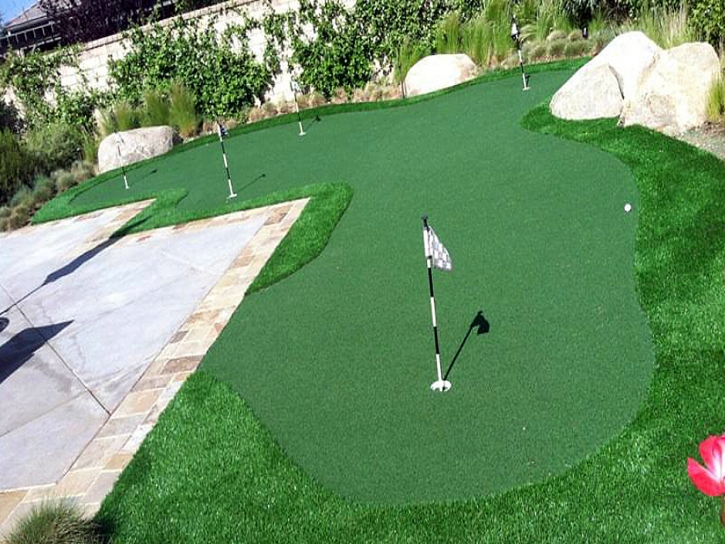 Fake Lawn Palominas, Arizona Artificial Putting Greens, Backyard Designs