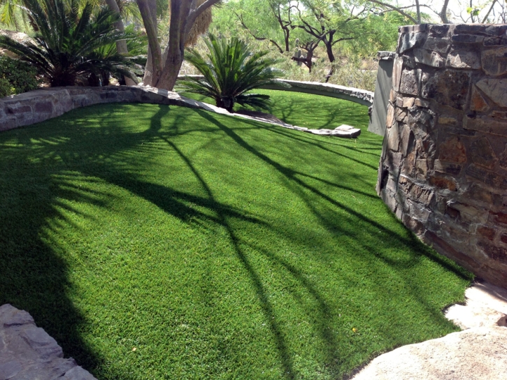 Fake Turf Tortolita, Arizona Dog Grass