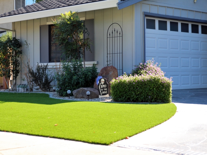 Faux Grass Copper Hill, Arizona Rooftop, Small Front Yard Landscaping