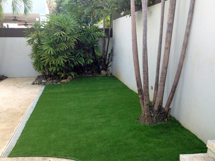 Faux Grass Globe, Arizona Landscape Photos, Small Backyard Ideas