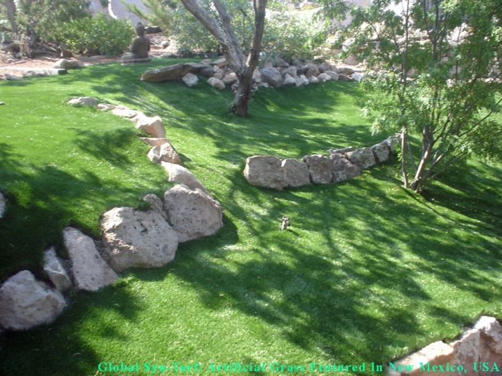 Faux Grass Guadalupe, Arizona Design Ideas, Commercial Landscape