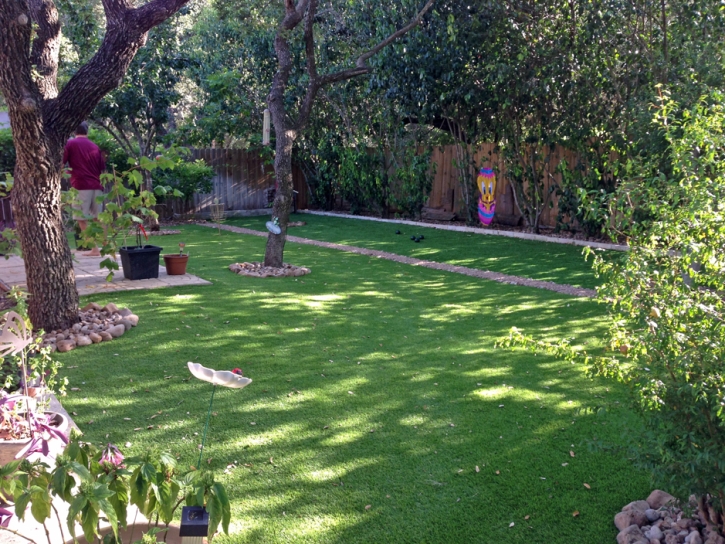 Faux Grass New Kingman-Butler, Arizona Landscape Photos, Backyard Ideas
