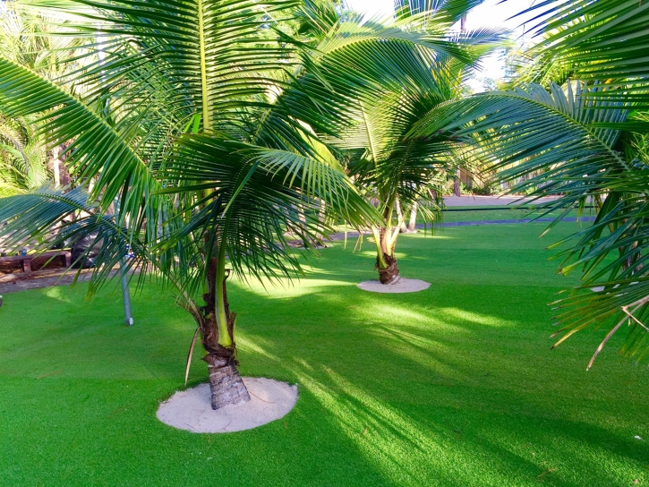 Grass Carpet Anegam, Arizona Roof Top, Commercial Landscape