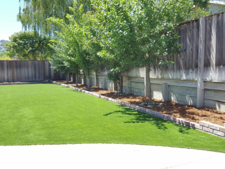 Grass Carpet Casas Adobes, Arizona Paver Patio, Commercial Landscape