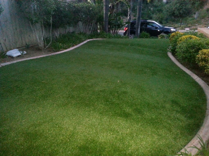 Grass Carpet Catalina, Arizona Landscape Design, Front Yard