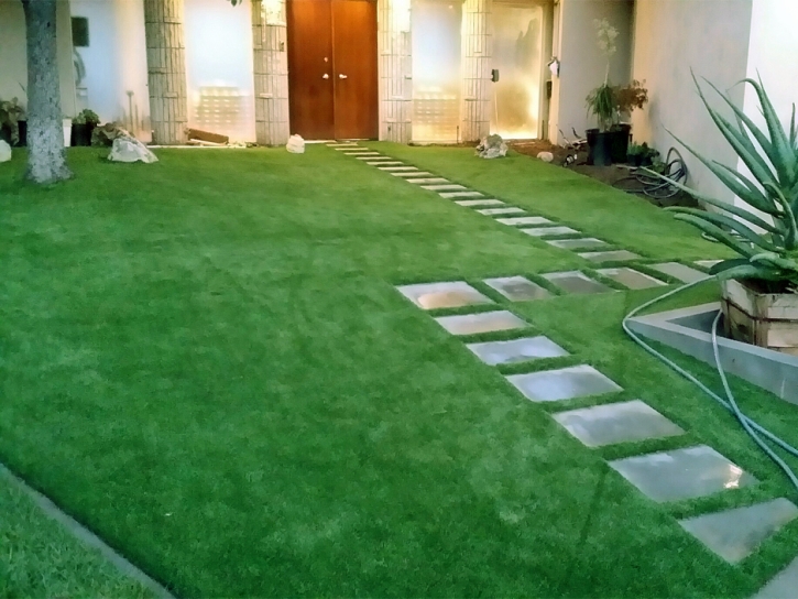 Grass Turf Cactus Forest, Arizona Rooftop, Landscaping Ideas For Front Yard