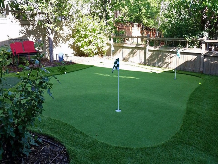 Grass Turf Komatke, Arizona Roof Top, Backyard Garden Ideas