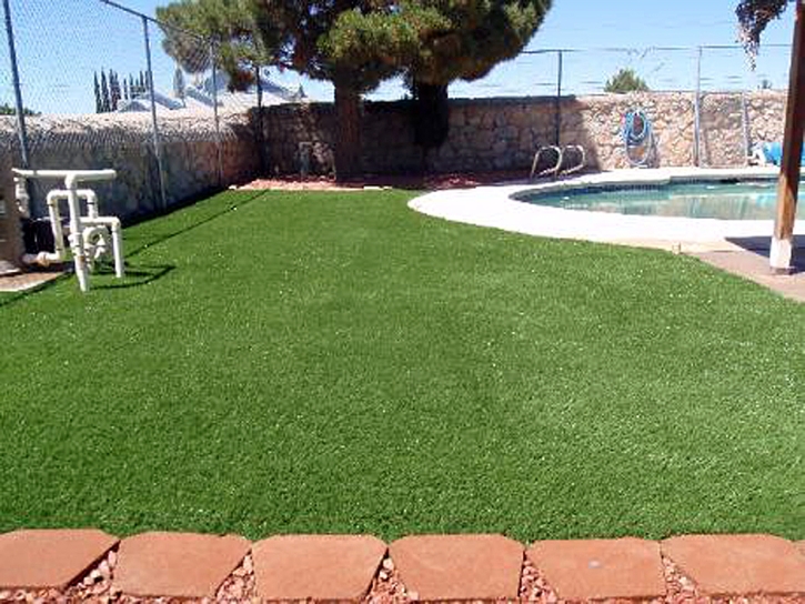 Green Lawn Kino Springs, Arizona Pet Grass, Natural Swimming Pools