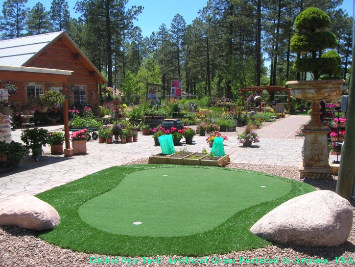 Green Lawn Tempe, Arizona Paver Patio, Backyard