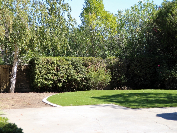 How To Install Artificial Grass Claypool, Arizona Design Ideas, Backyard Landscaping
