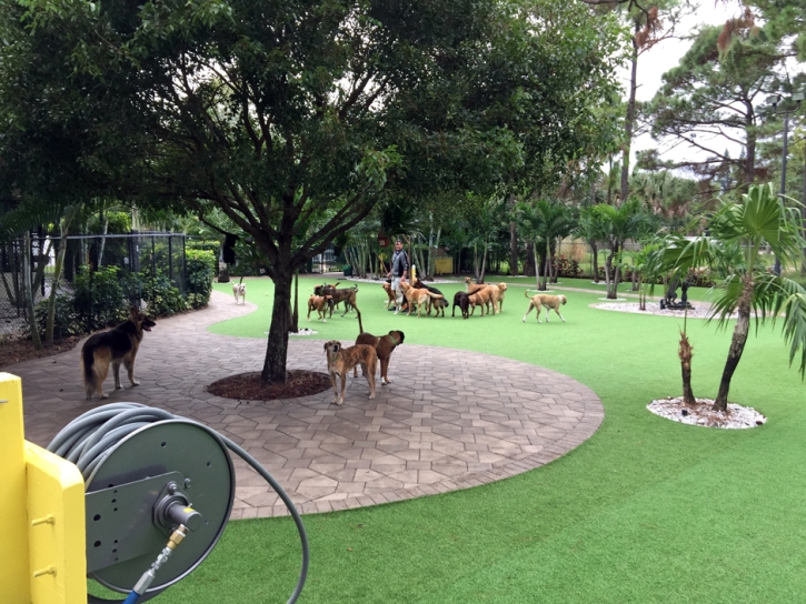 Installing Artificial Grass Katherine, Arizona Dog Parks, Commercial Landscape