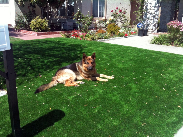 Installing Artificial Grass Three Points, Arizona Drainage, Front Yard Ideas