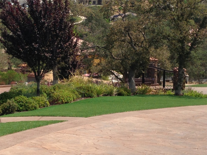 Lawn Services Jakes Corner, Arizona Landscape Photos, Backyard Makeover