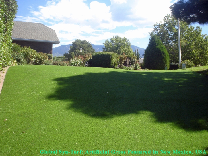 Outdoor Carpet Chandler, Arizona Cat Grass, Backyard Landscape Ideas