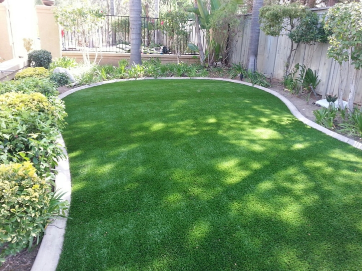 Outdoor Carpet Mayer, Arizona City Landscape