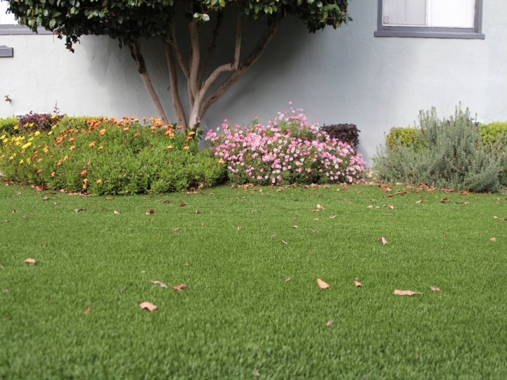 Outdoor Carpet Miami, Arizona Landscape Photos, Small Front Yard Landscaping