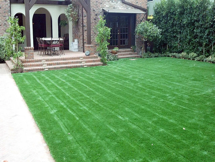 Plastic Grass Ali Chuk, Arizona City Landscape, Front Yard Landscape Ideas