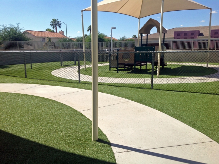 Plastic Grass Chloride, Arizona Landscaping Business, Recreational Areas