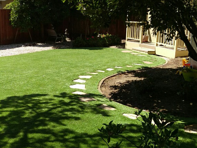 Plastic Grass Cornville, Arizona Lawn And Garden, Backyard Landscaping