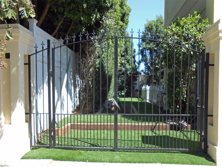 Plastic Grass Greasewood, Arizona Rooftop, Front Yard Ideas
